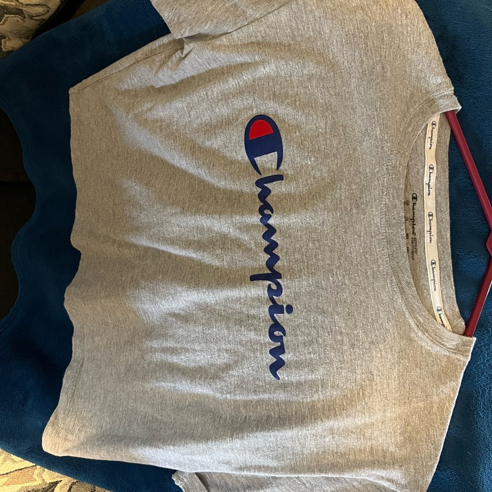 Grey Champion cropped T-shirt